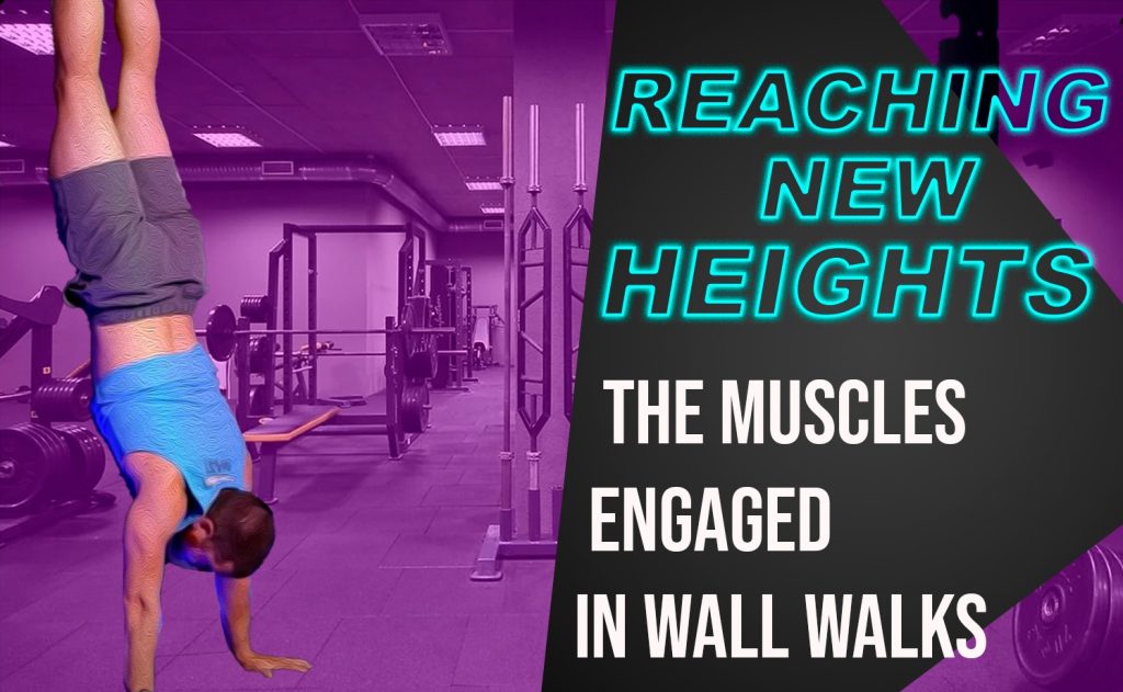 wall walks crossfit